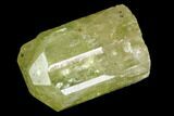 Bag Of Five Yellow Apatite Crystals ( - ) - Morocco #108368-1